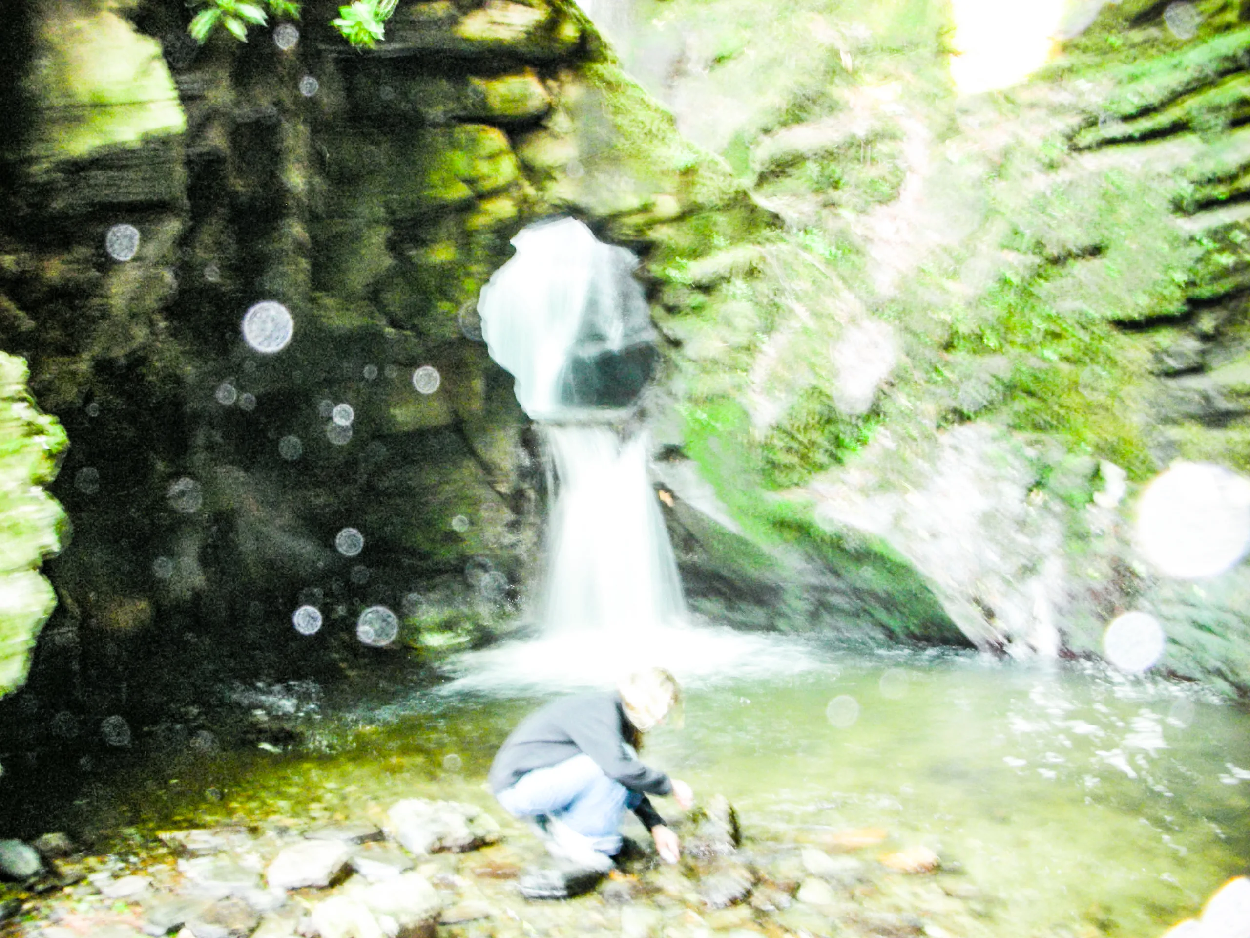 Fairy Gathering Magical Water